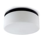 EXENIA SRL - EXE315404001 RONDA FLUO D255 OPALE