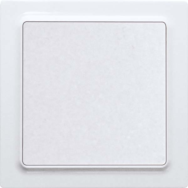 ELTAKO EAK30055715 Funk-2-Kanal-Taster im E-Design55, 80x80