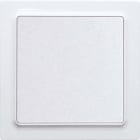 ELTAKO EAK30055715 Funk-2-Kanal-Taster im E-Design55, 80x80