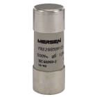MERSEN ITALIA SPA - XESJ219773 500V CP 22X58 GG 125A S/I