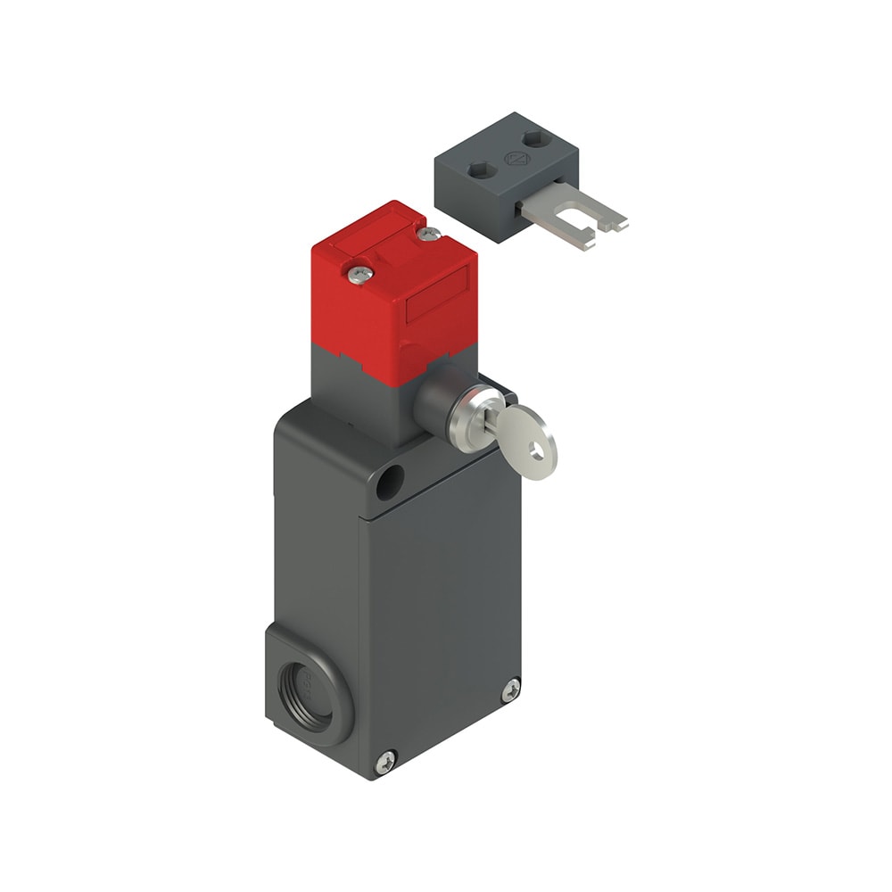 PIZZATO ELETTRICA - PZZFS 3098D024-F2M2 INTERRUTTORE DI SICUREZZA AD AZIONATORE
