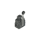 PIZZATO ELETTRICA - PZZFX 556-M2 INTERRUTTORE DI POSIZIONE A LEVA GIREVOL