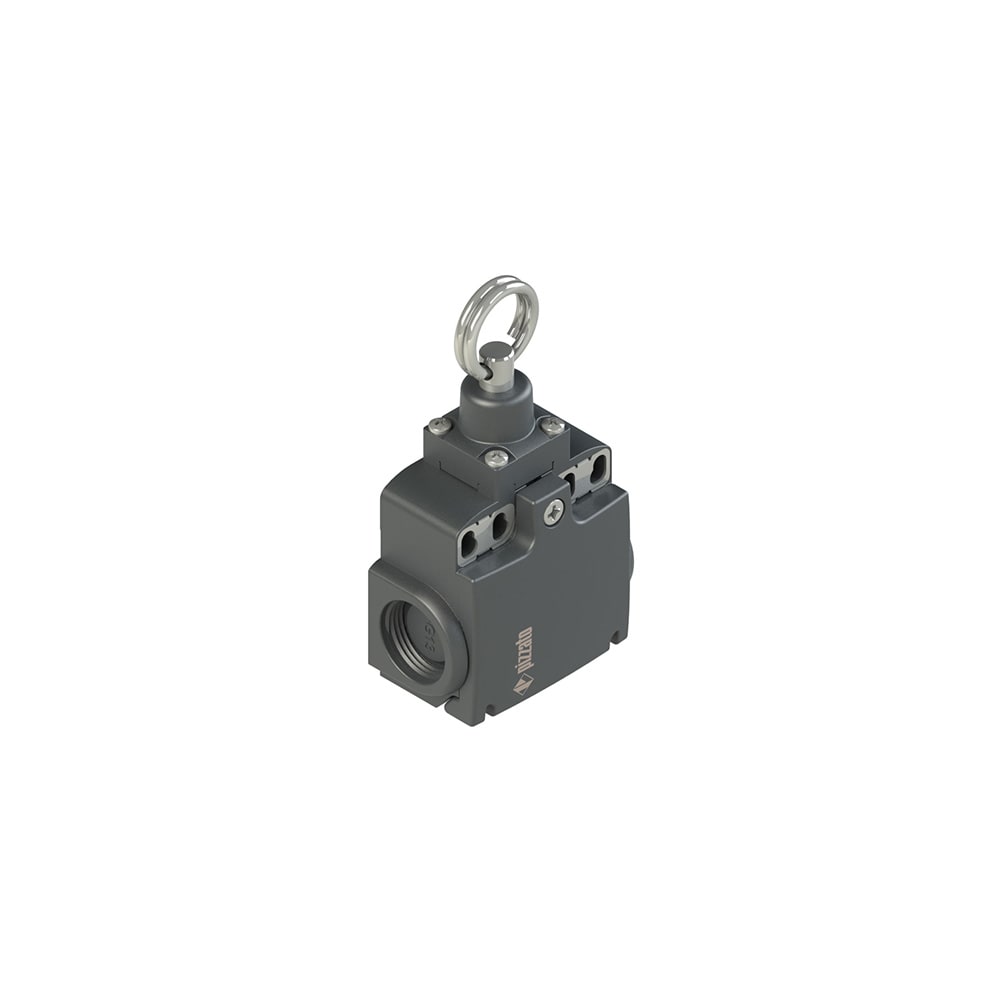 PIZZATO ELETTRICA PZZFX 576 INTERRUTTORE DI POSIZIONE PER AZIONAMENT