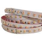 ELCOM SRL - EOW06070 STRIP 112LED/M 16,8W/M CARNE IP65