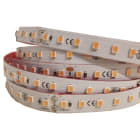 ELCOM SRL - EOW06073 STRIP 112LED/M 16,8W/M PESCE IP65