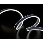 GIOCOPLAST NATALE SP - GCP16813150 NEON FLEX BIANCO BIFACCIALE, 5 MT