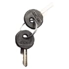 GEWISS GEWGW20901 SET 2 CHIAVI PER APPARECCHI DI COMANDO