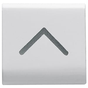 GEWISS GEWGW10545 TASTO INTERCAMB. FRECCIA VERT. BIANCO