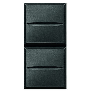 BTICINO - BTIHS4036 Doppeltaster anthrazit