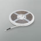 IGUZZINI ILLUMINAZI IGZ3.M253.701.0 LEDSTRIP RGB 12V H=13 L=5000