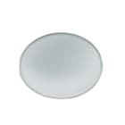 IGUZZINI ILLUMINAZI - IGZ3.X264.065.0 VETRO DIFFONDENTE D=46