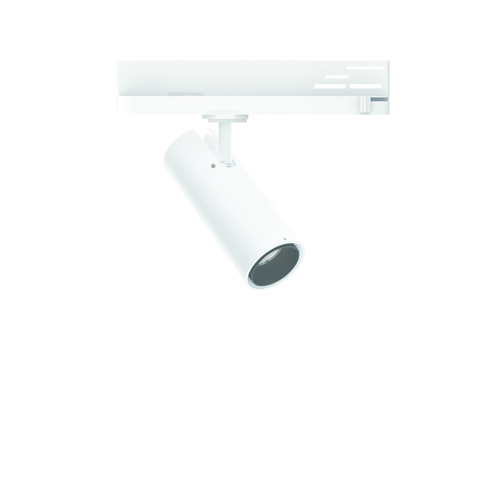 LINEA LIGHT (ILED) ILD81627W30 POUND-1 7 1L 15WAC CRI98 FIDE+AL BG