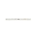 LINEA LIGHT (ILED) ILD98636 RIBBON+BASIC 5M 3000K 24V 70L RA85