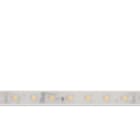 LINEA LIGHT (ILED) - ILD98777 PU_C+ HF 5M 2700K 24V 70L RA85