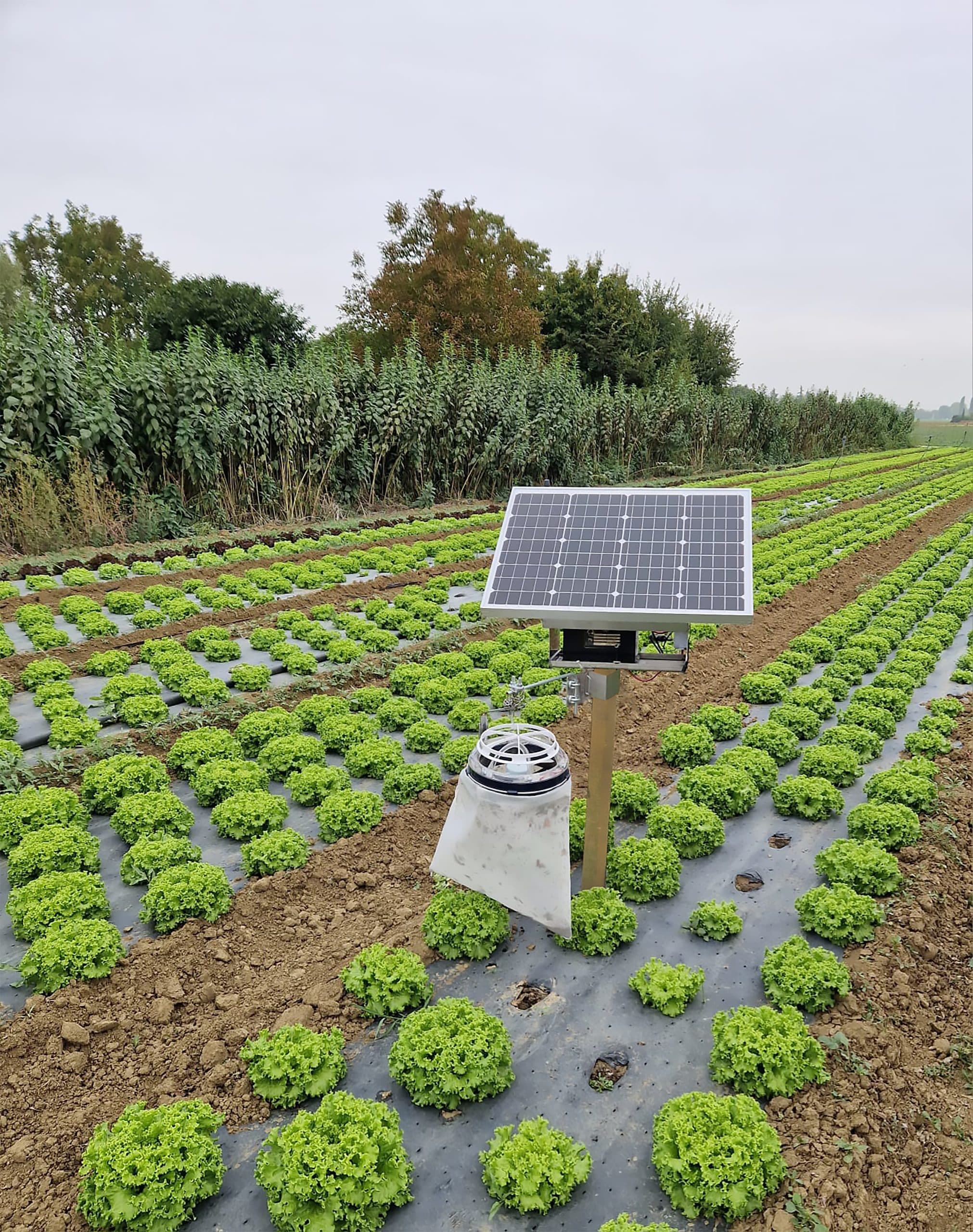 MO EL MOE3689FV MOONLED PER FOTOVOLTAICO