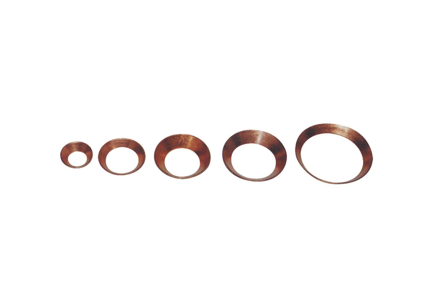 TECNOSYSTEMI SPA SOC - TNS11133013 GUARNIZIONE IN RAME 5/8 (CONF. 10 PZ.)