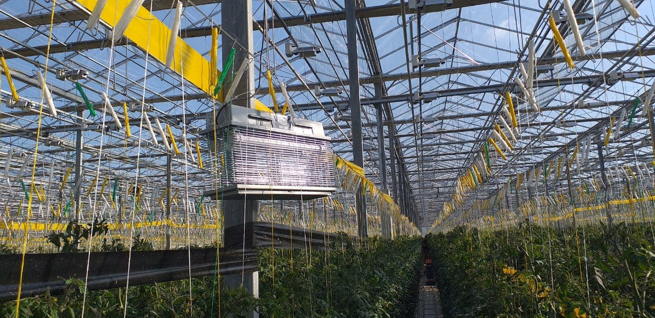 MO EL MOE308A CRI CRI PCL 80W 230V AGRICOLTURA