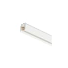 SIGNIFY ITALY SPA PHA06540200 Sistema binario DALI, Normal, Bianco, IP30 | Protetto contro l'accesso con un utensile