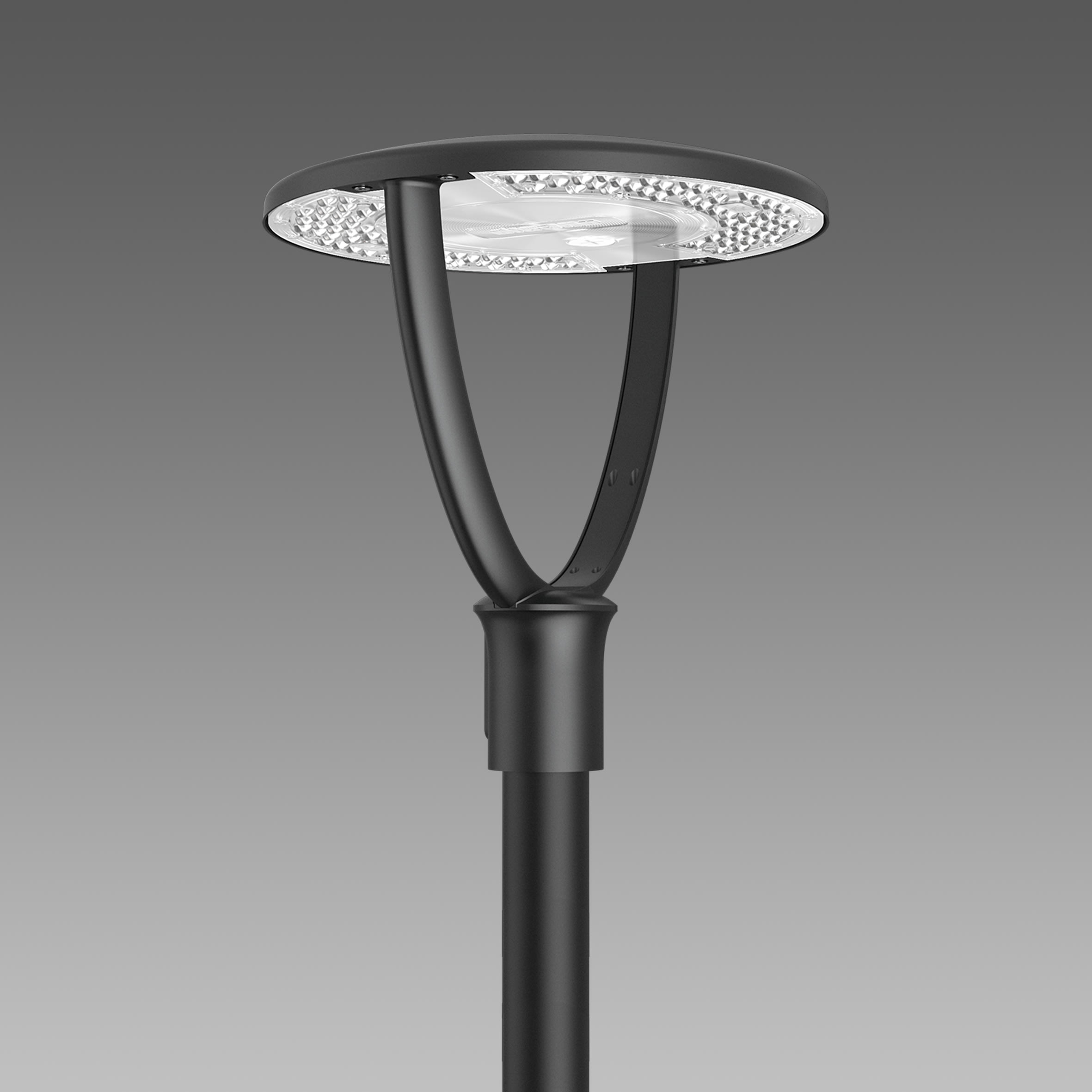 DISANO - DIS33050000002431 BRAIES 1590 LED 59W CLD NERO