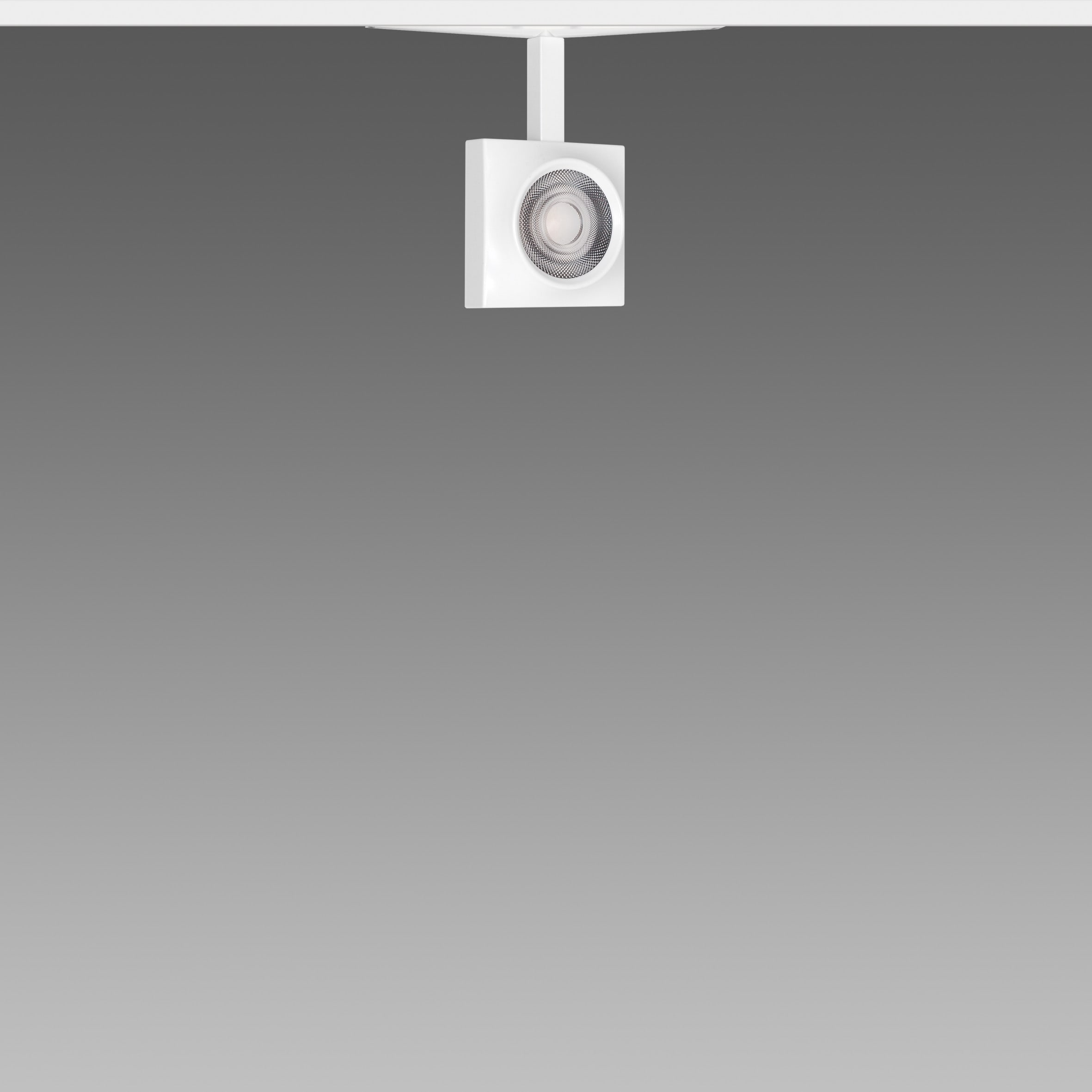 FOSNOVA - FOS221087151241 FOCUS S 50Q 1087 14W 3K CLDDD BIA 48V