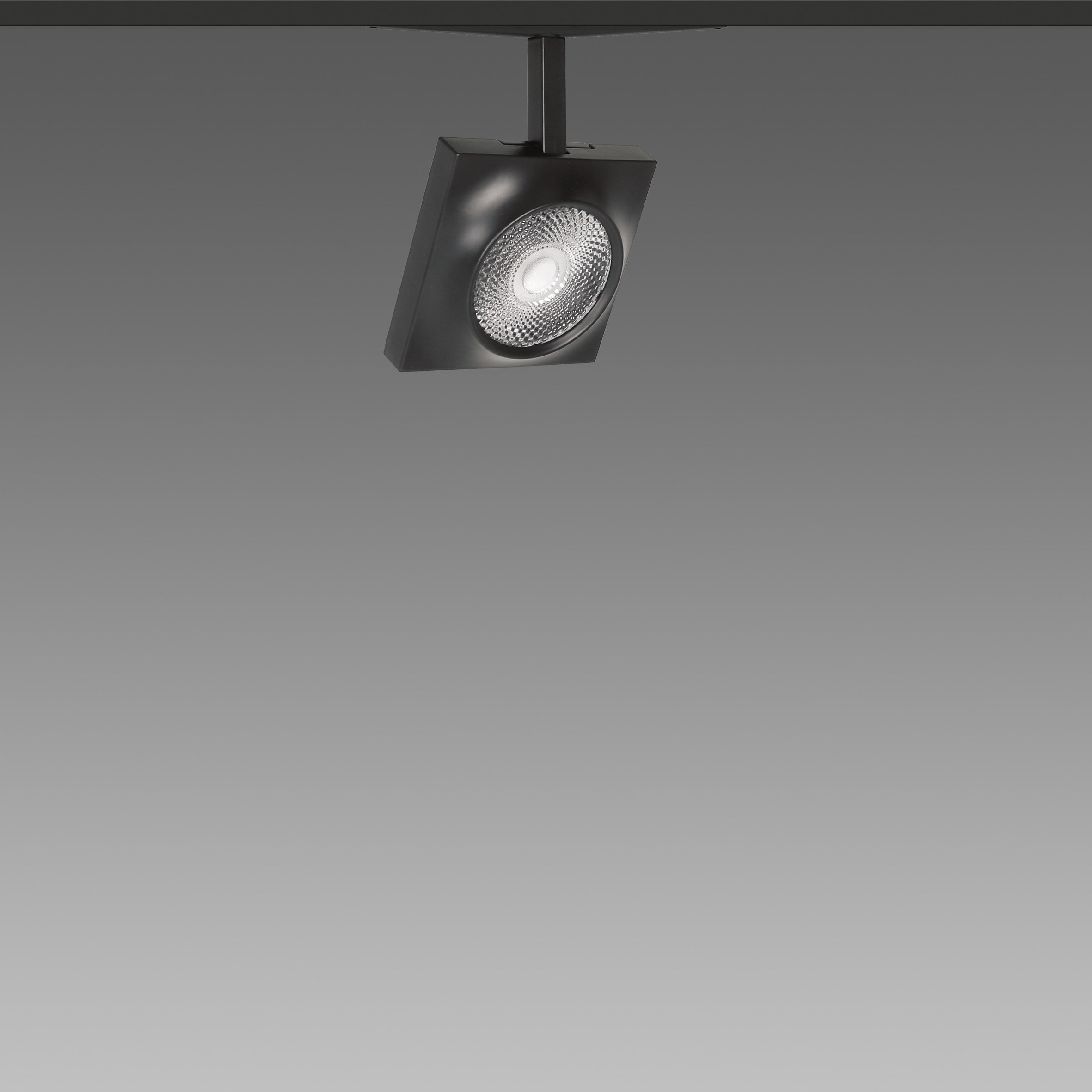 FOSNOVA - FOS221088151241 FOCUS S 70Q 1088 19W 3K CLDDD BIA 48V