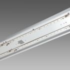 DISANO DIS16244616 FORMA 995 LED 61W CLD P.CABL.