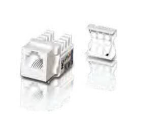 ITEM IT240100 PRESA RJ12 U/UTP CAT. 3 - AUTOCRIMPANTE