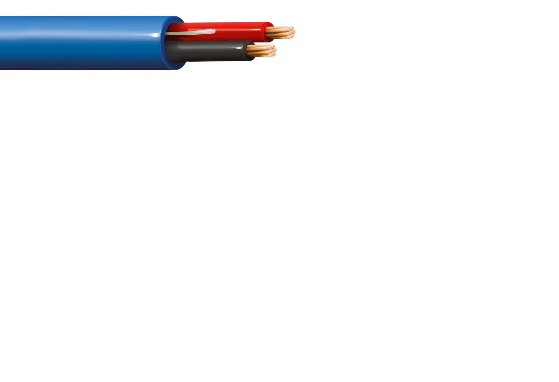 ITC INDUSTRIA TECNIC ITCCA-25BLM100 AUTOM.CANCELLI 2 X 0,50 PVC BLU M.100 EC