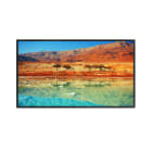 DAHUA TECHNOLOGY DUHM-0014382 LM65-S400: MONITOR LED DA 64.5 4K UHD F
