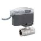 F.I.V. - FVR8946R106 MOTORV8 1 2VIE FF