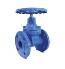 WATTS INDUSTRIES ITA WAT61070107 SARACINESCA E3243 DN80