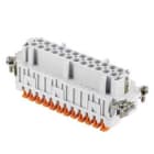 ILME - ILMJSHF 24 FR.PR.24 POLI SQUICH JEI