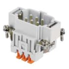 ILME - ILMJSHM 06 FR.SP.06 POLI SQUICH JEI