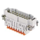 ILME - ILMJSHM 16 FR.SP.16 POLI SQUICH JEI