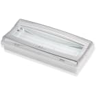 LINERGY SRL - LENCR1905 CRISTAL 24W SL IP40 CENTRAL BATTERY HF