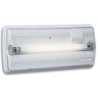 LINERGY SRL - LENFX1101 FOX 6W 1H SE IP40 INHIBIT