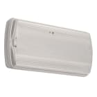 LINERGY SRL - LENSD1101 STEP LED 170LM 1H SE IP40 INHIBIT