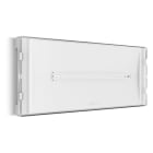 LINERGY SRL - LENSI1201 SELFIE 160LM 2H SE IP42 REST MODE