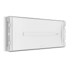 LINERGY SRL - LENSI18N20EBR SELFIE 260LM 2H SE IP42 REST MODE