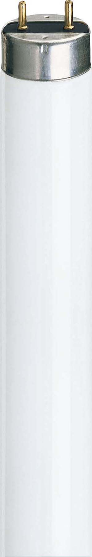 Philips - PBZ63207440 Leuchtstofflampe 36W 865 G13 D26/L1200mm