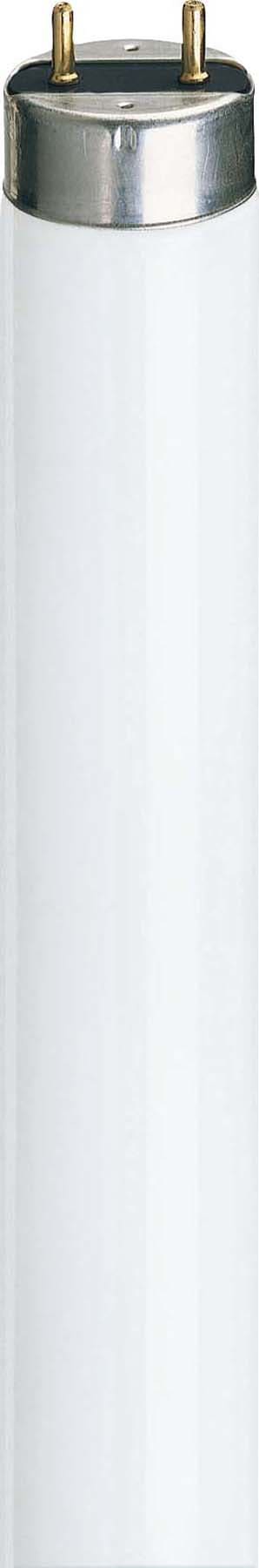 Philips - PBZ63171840 Leuchtstofflampe 18W 840 G13 D26/L590mm