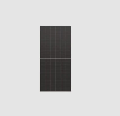 LONGI TRADING BV Y22LR8-66HVD-650M MODULO LONGI BIFACCIALE HI-MO X10 650W