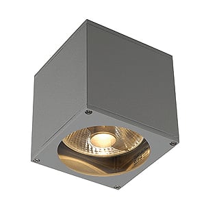 SLV ITALIA SRL SLV229564 BIG THEO WALL PARETE, PER ESTERNI, QPAR6