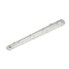 SIGNIFY ITALY SPA - PHA36605099 Stagna WT050C, L1500 mm, IP65, IK08
