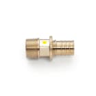 REHAU SPA - RE413129971001 TERMINALE 25-M3/4 RAUT. LX +G