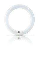 Philips - PBZ28513305 Actinic BL TL-E 22W/10 1CT/20