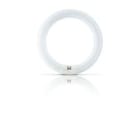 Philips PBZ28513305 Actinic BL TL-E 22W/10 1CT/20
