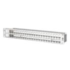 Metz MEZ130924-00-E 19''ModultrAger 1,5HE48 Port Edelstahl