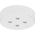 EATON - EAO40071350381 3514 APPARECCHIO A 4LED CG-S TONDO SOFFI