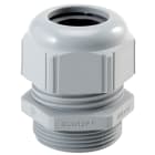 LAPP ITALIA SRL - LPP53110149 SKINTOP ST-M 25X1.5 RAL 7001 SGY 10ST